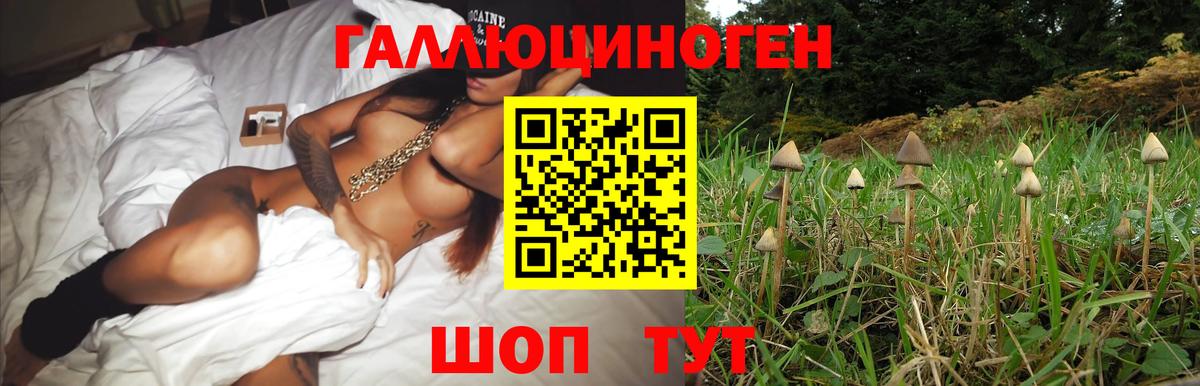 Сафоново  Галлюциногенные грибы мицелий  Вход с VPN 